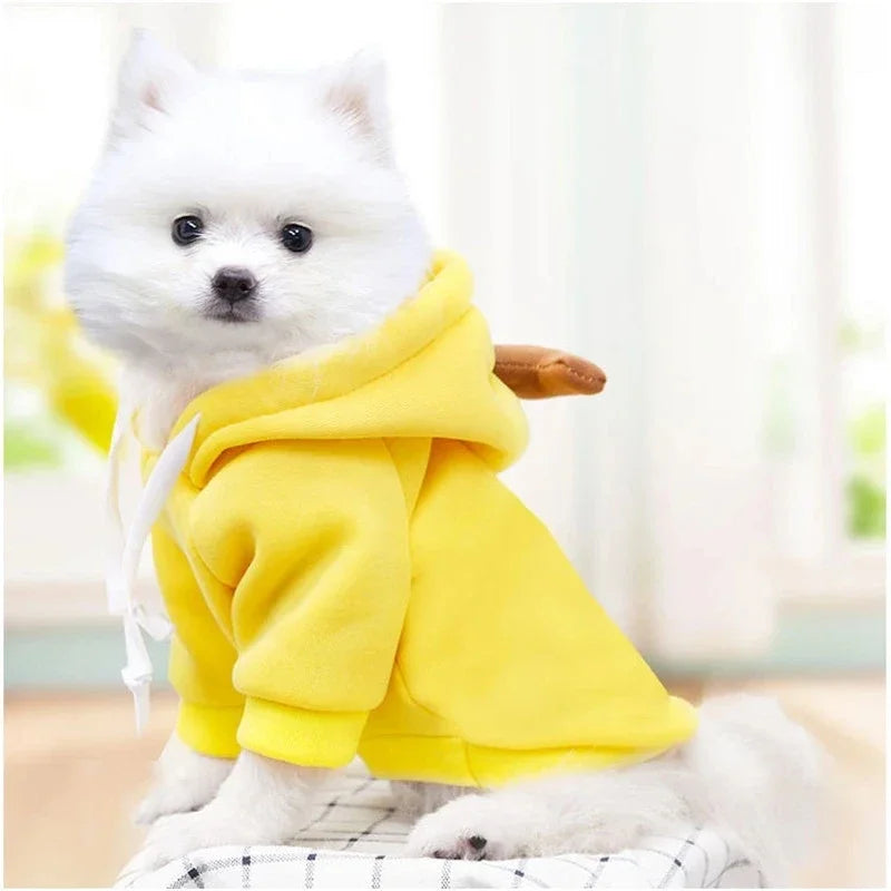 Fruity Dog Hoodie, view 7