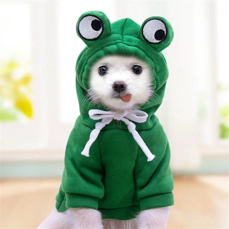 Fruity Dog Hoodie, view 5