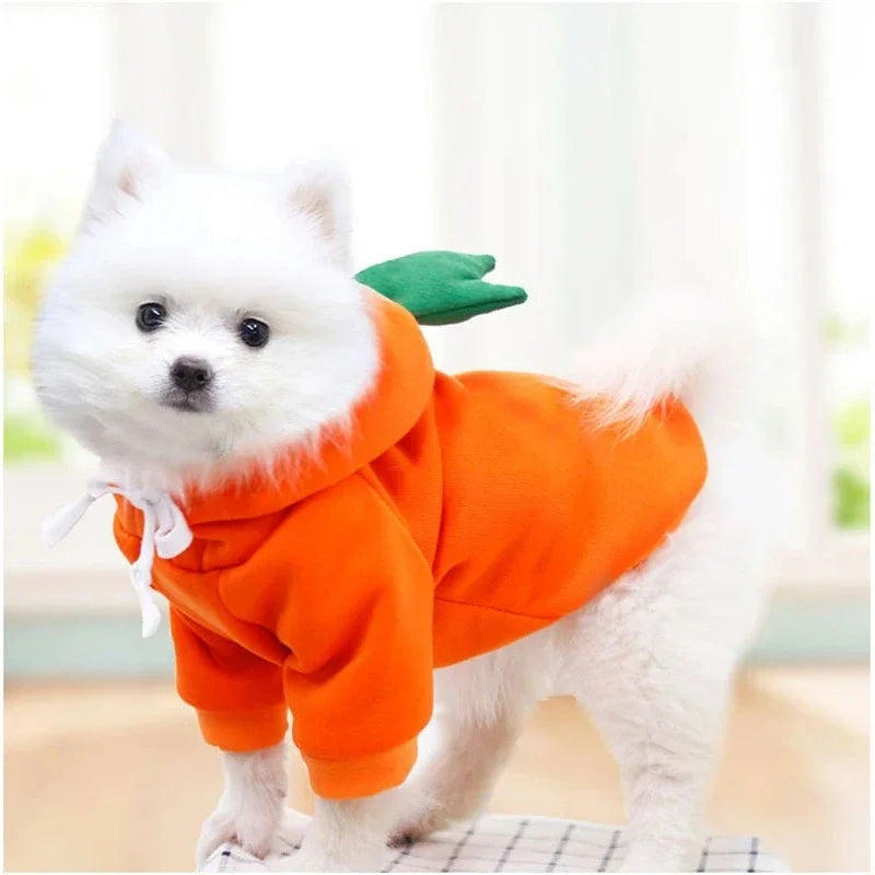 Fruity Dog Hoodie, view 6