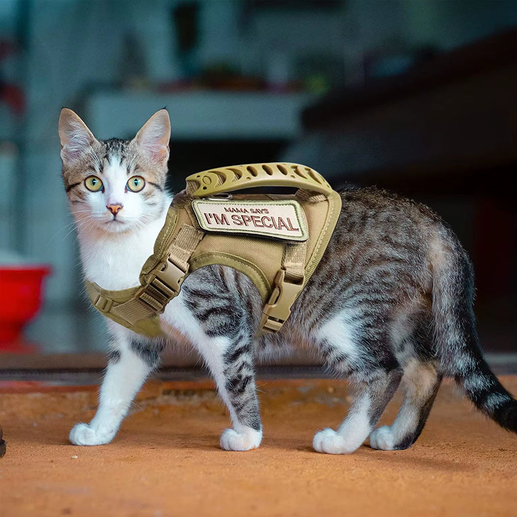 Tactical Cat Harness, view 2
