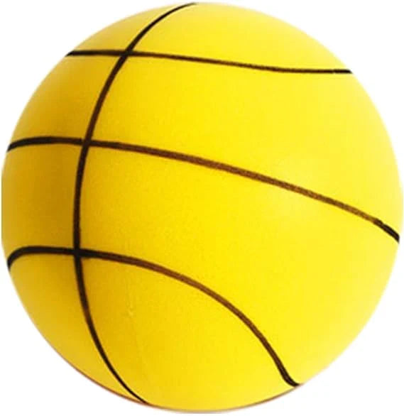 Silent Basketball, view 4